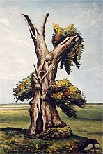 Baum in Flemendorf